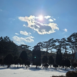 피드에 업로드 된 이미지