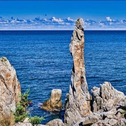 피드에 업로드 된 이미지