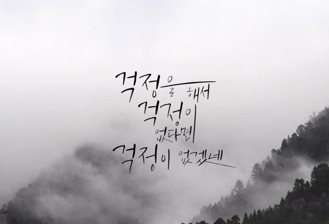 피드에 업로드 된 이미지