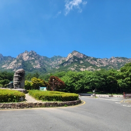 피드에 업로드 된 이미지