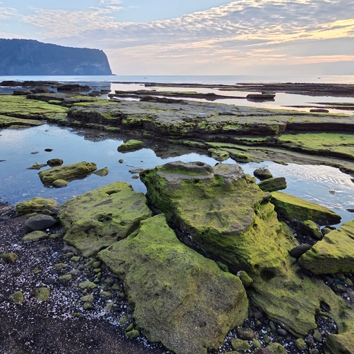 모임 대표 이미지