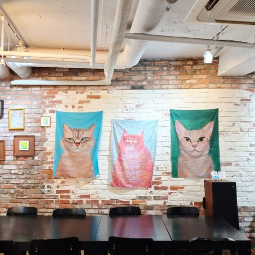 피드 이미지