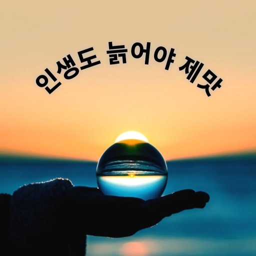 피드 이미지