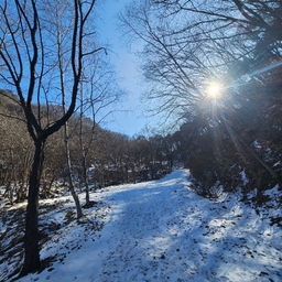 피드에 업로드 된 이미지