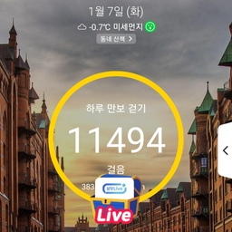 피드에 업로드 된 이미지