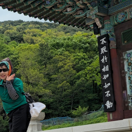 피드 이미지