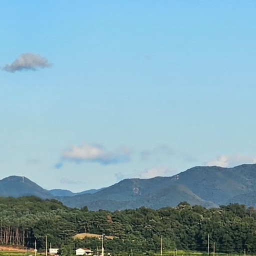 피드 이미지