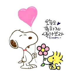 피드에 업로드 된 이미지