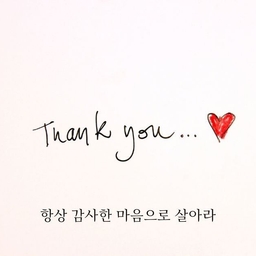 피드에 업로드 된 이미지