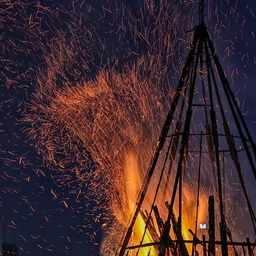 피드에 업로드 된 이미지
