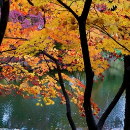 피드에 업로드 된 이미지