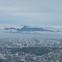 피드 작성자 프로필