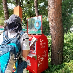 피드에 업로드 된 이미지