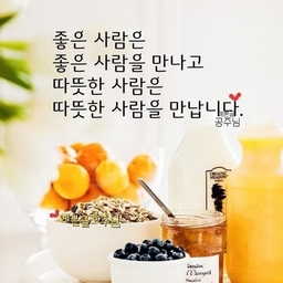 피드에 업로드 된 이미지