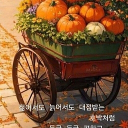 피드에 업로드 된 이미지