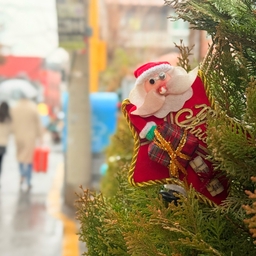 피드에 업로드 된 이미지