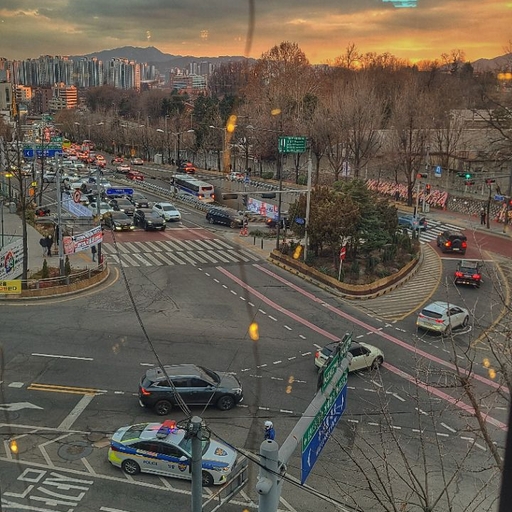 피드 이미지