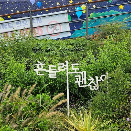 피드 이미지