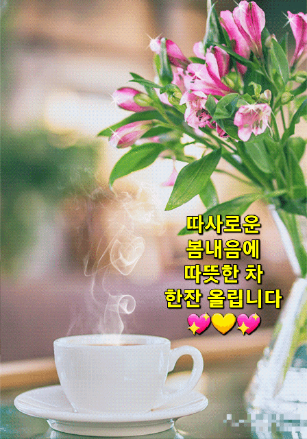 ํผ๋์ ์
๋ก๋ ๋ ์ด๋ฏธ์ง