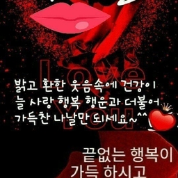 피드에 업로드 된 이미지