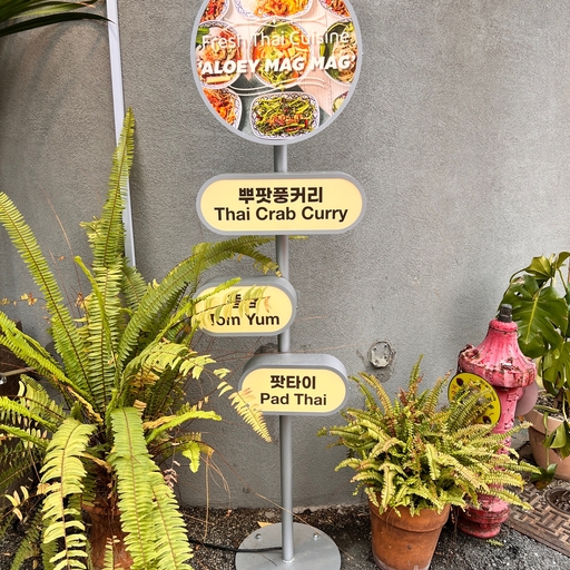 피드 이미지