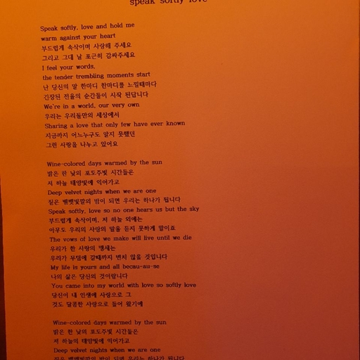 피드 이미지