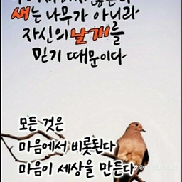피드에 업로드 된 이미지
