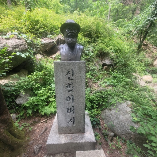 피드 이미지