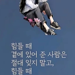 피드에 업로드 된 이미지