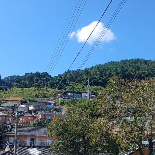 피드 이미지