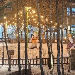 피드에 업로드 된 이미지