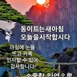 피드에 업로드 된 이미지