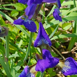 피드에 업로드 된 이미지