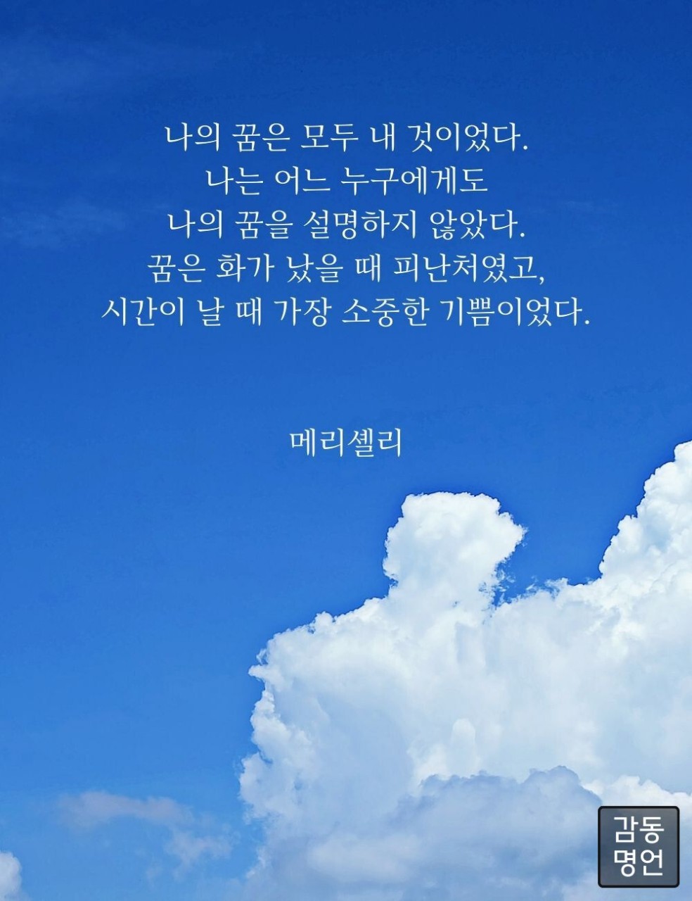 피드에 업로드 된 이미지