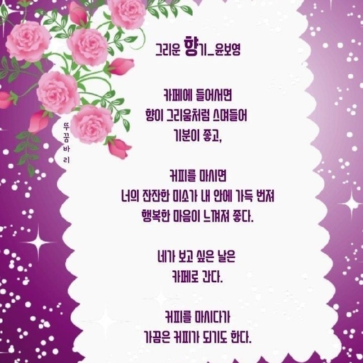 피드 이미지