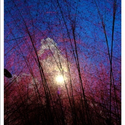 피드에 업로드 된 이미지