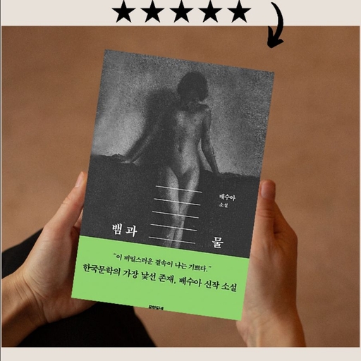 피드 이미지