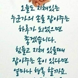 피드에 업로드 된 이미지