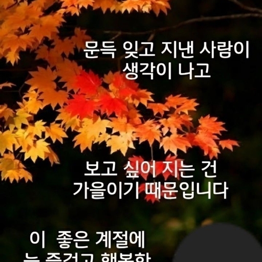 피드 이미지