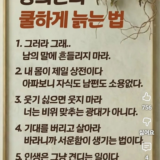 피드 이미지