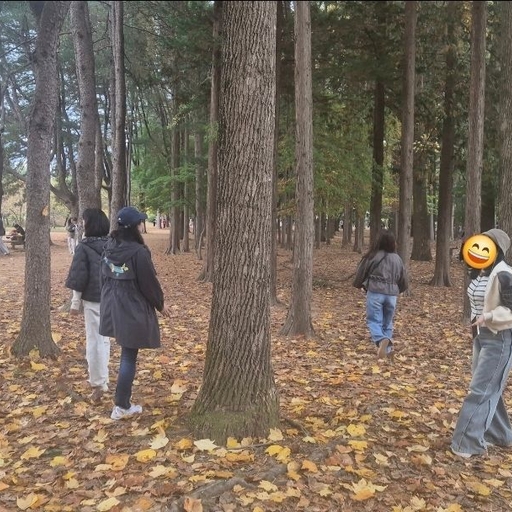 피드 이미지