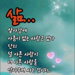 피드에 업로드 된 이미지