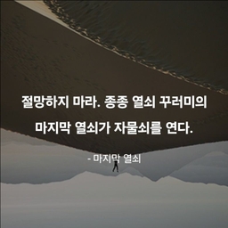 피드에 업로드 된 이미지