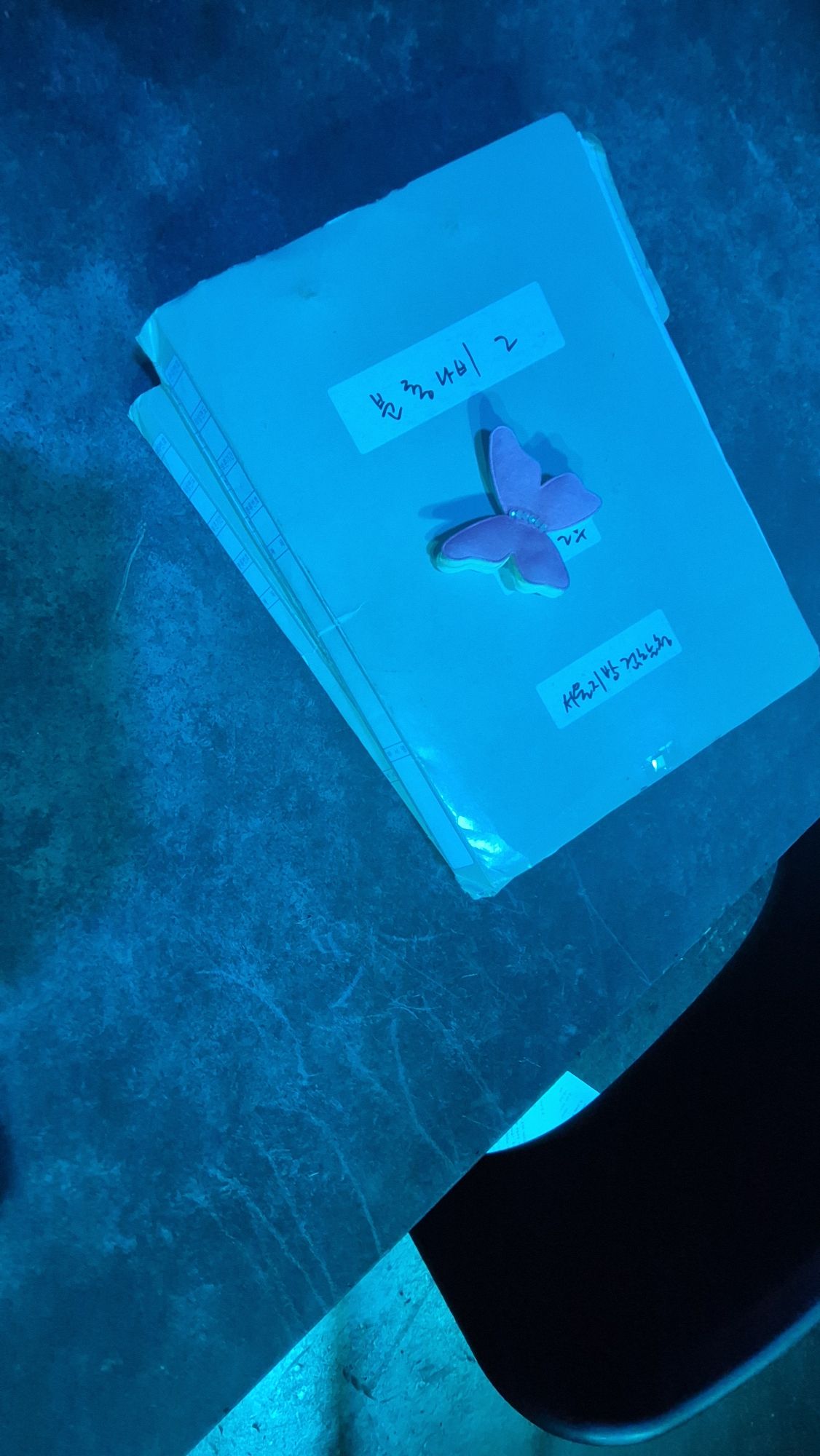 피드 이미지