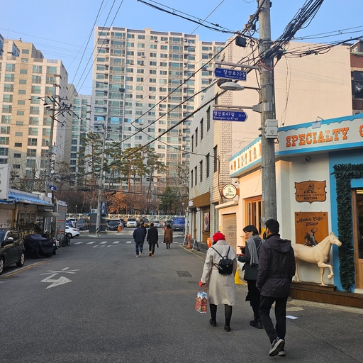 피드 이미지
