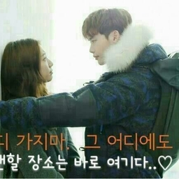 ํผ๋์ ์
๋ก๋ ๋ ์ด๋ฏธ์ง