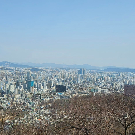 피드 이미지