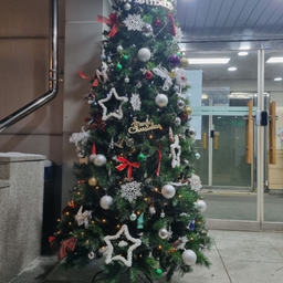 피드에 업로드 된 이미지