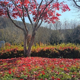 피드에 업로드 된 이미지