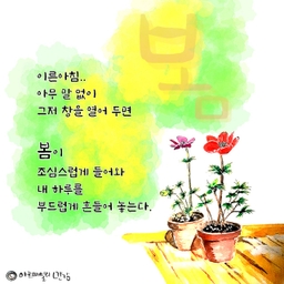 피드에 업로드 된 이미지